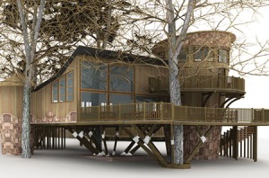 New Forest Tree House Study Centre, www.cet.org.uk